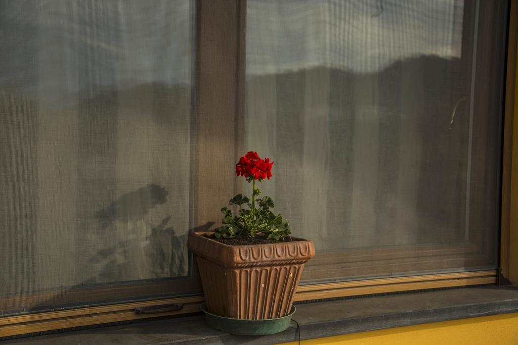 Affittacamere Dell'Autista Brugnato Exteriér fotografie